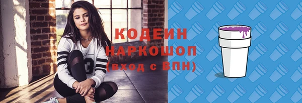 амф Елабуга