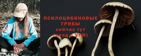 амф Елабуга