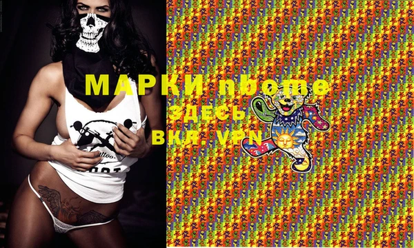 ПСИЛОЦИБИНОВЫЕ ГРИБЫ Елизово