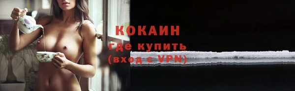 spice Ельня