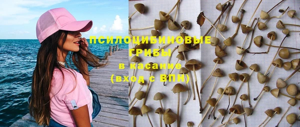 амф Елабуга
