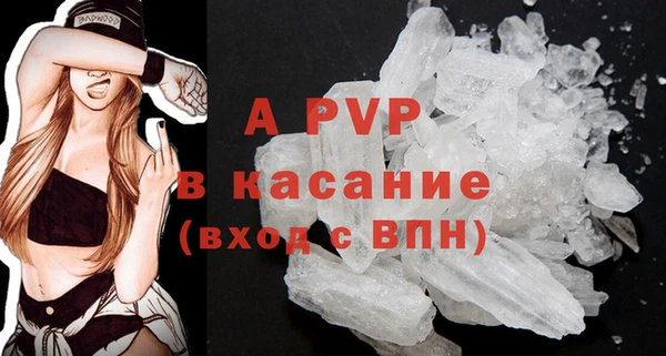 spice Ельня