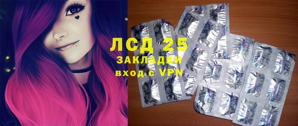 ПСИЛОЦИБИНОВЫЕ ГРИБЫ Елизово