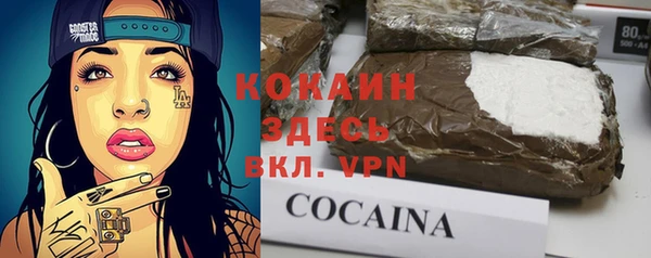 ПСИЛОЦИБИНОВЫЕ ГРИБЫ Елизово